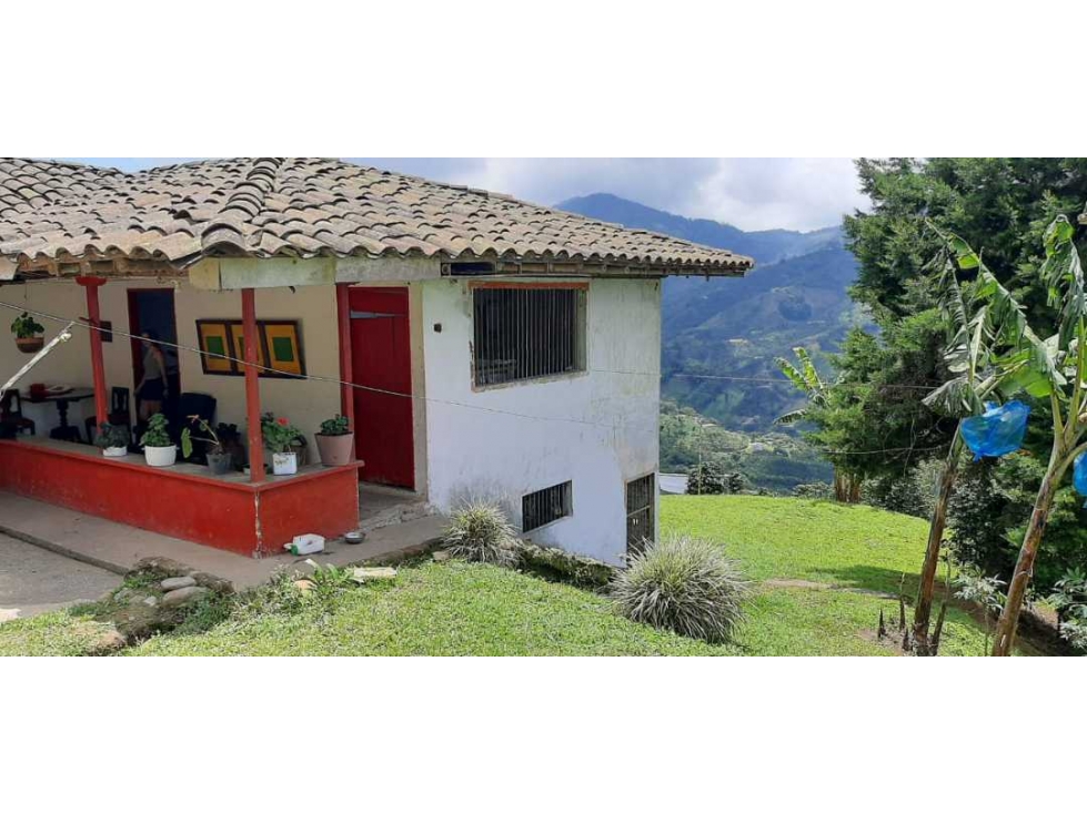Finca cafetera para la venta vereda el chuzo Santa Rosa de Cabal - 3