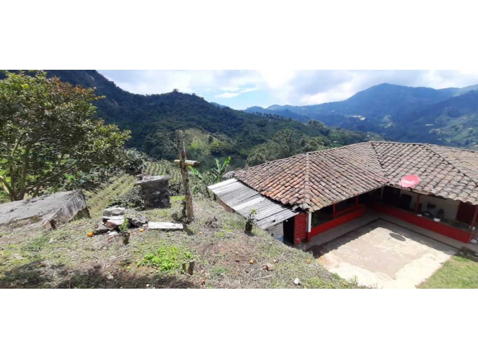 Finca cafetera para la venta vereda el chuzo Santa Rosa de Cabal - 4