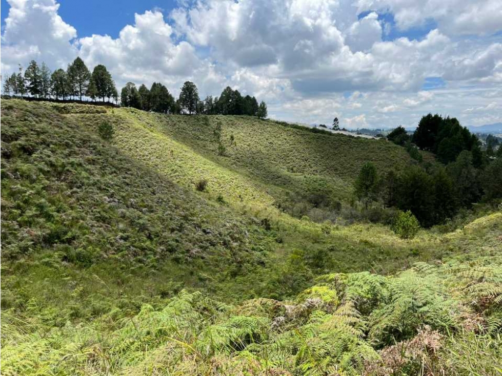 Lote en Venta parcelacion,con vista panorámica, en Guarne - 3