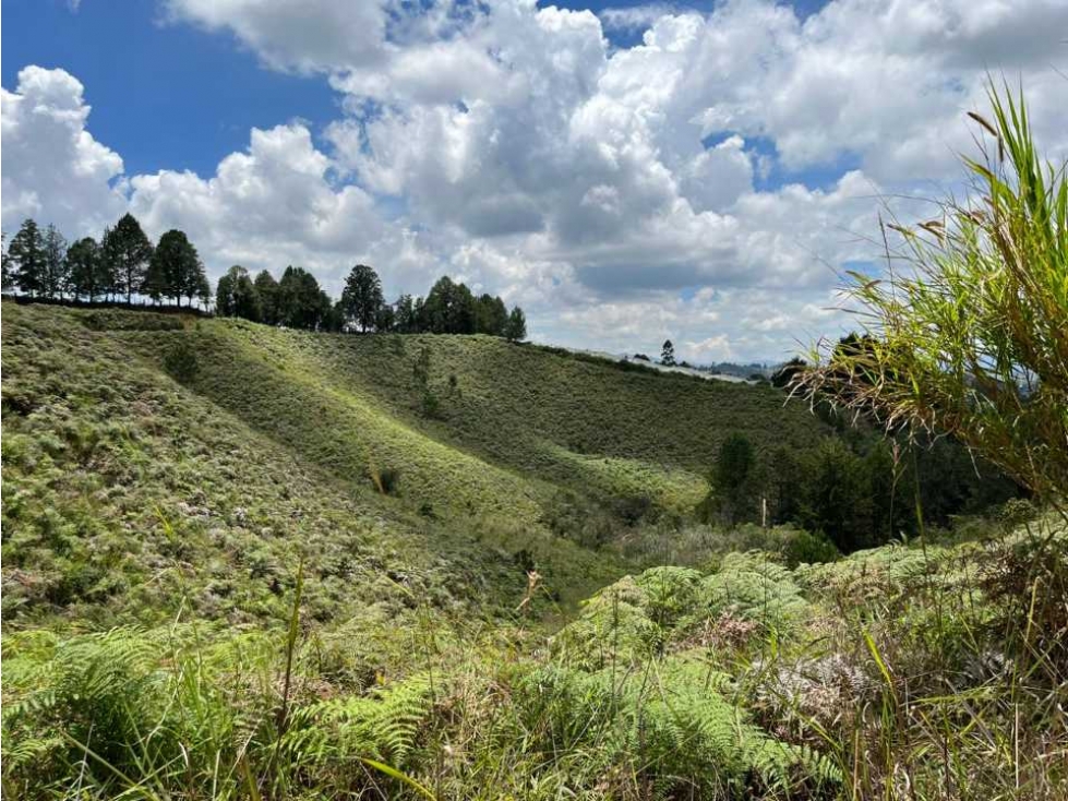 Lote en Venta parcelacion,con vista panorámica, en Guarne - 6
