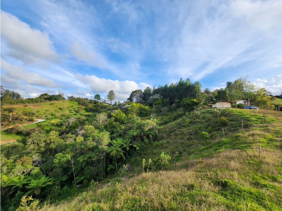 VENTA DE LOTE EN SAN VICENTE, VEREDA CHAPARRAL - SAN ANTONIO — foto 4