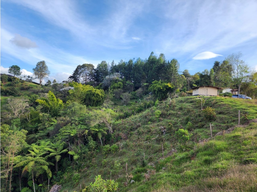 VENTA DE LOTE EN SAN VICENTE, VEREDA CHAPARRAL - SAN ANTONIO — foto 5