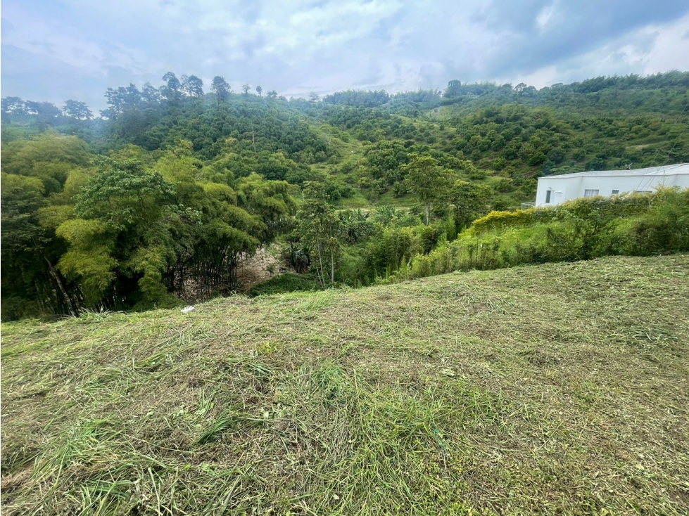 Lote en Venta en el sector de Chinchiná - Caldas - 2