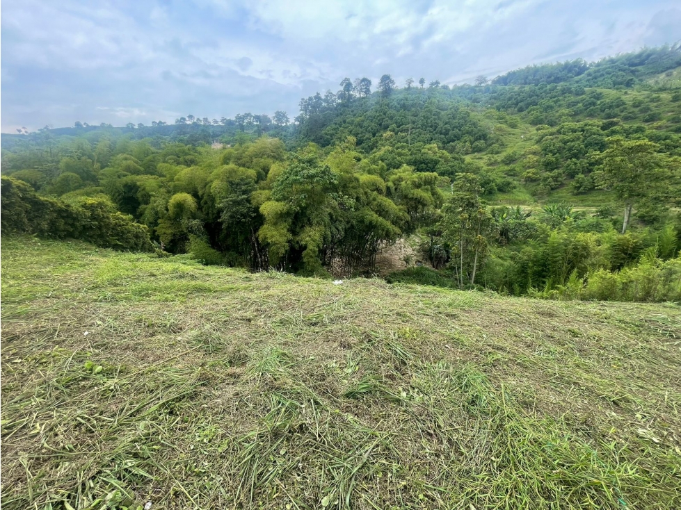 Lote en Venta en el sector de Chinchiná - Caldas - 3