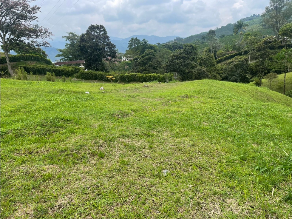 Lote en Venta en Sector de Chinchina - Caldas - 3