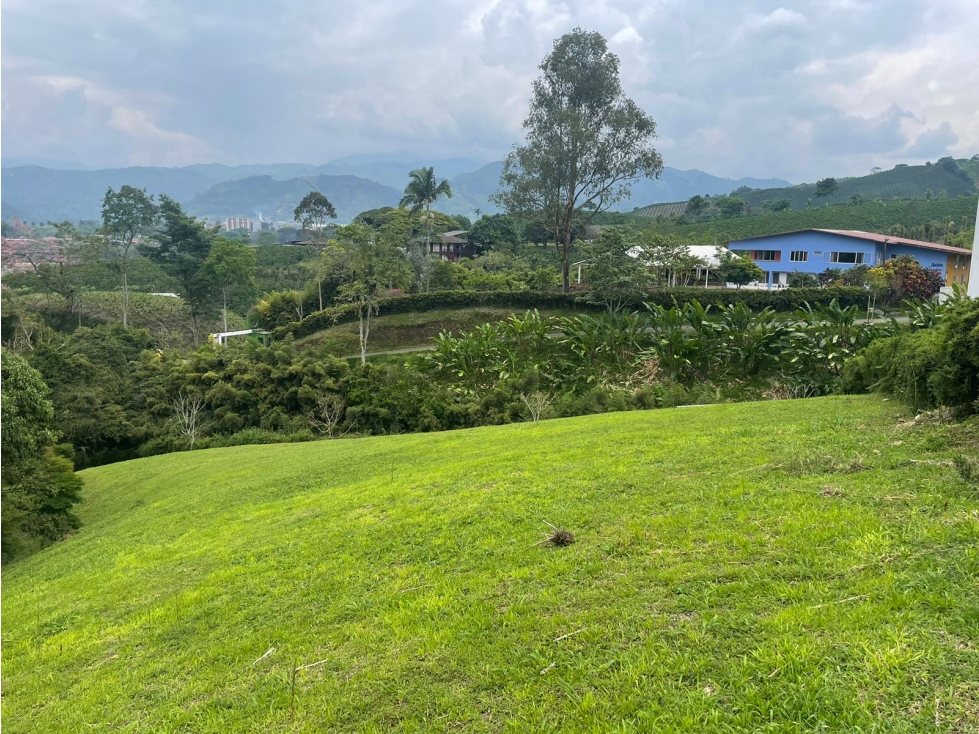 Lote en Venta en Sector de Chinchina - Caldas - 5