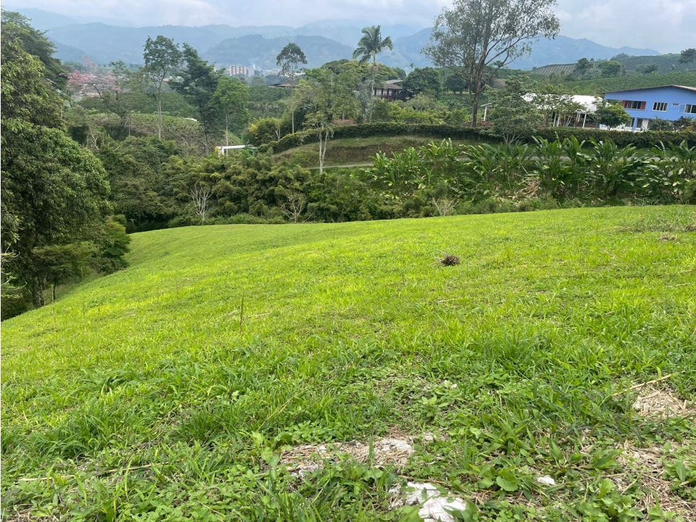 Lote en Venta en Sector de Chinchina - Caldas - 6