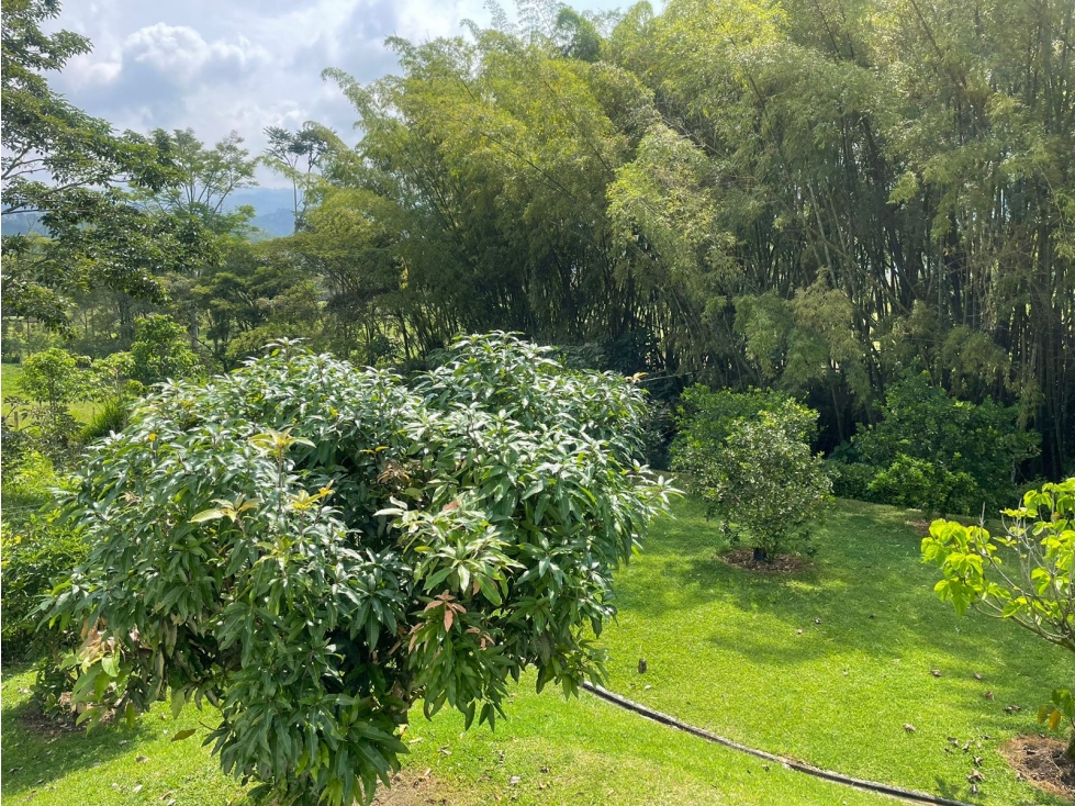 Casa Campestre en Venta en Conjunto Cerrado Chinchiná - Caldas — foto 3