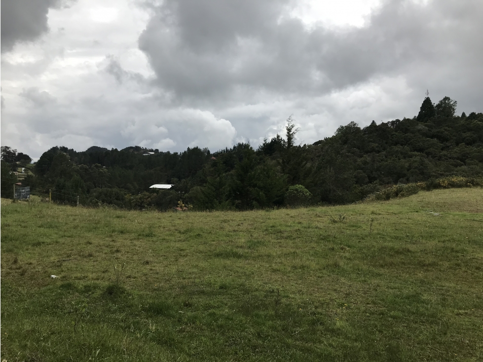 Venta de Lote en el Alto de las Palmas
