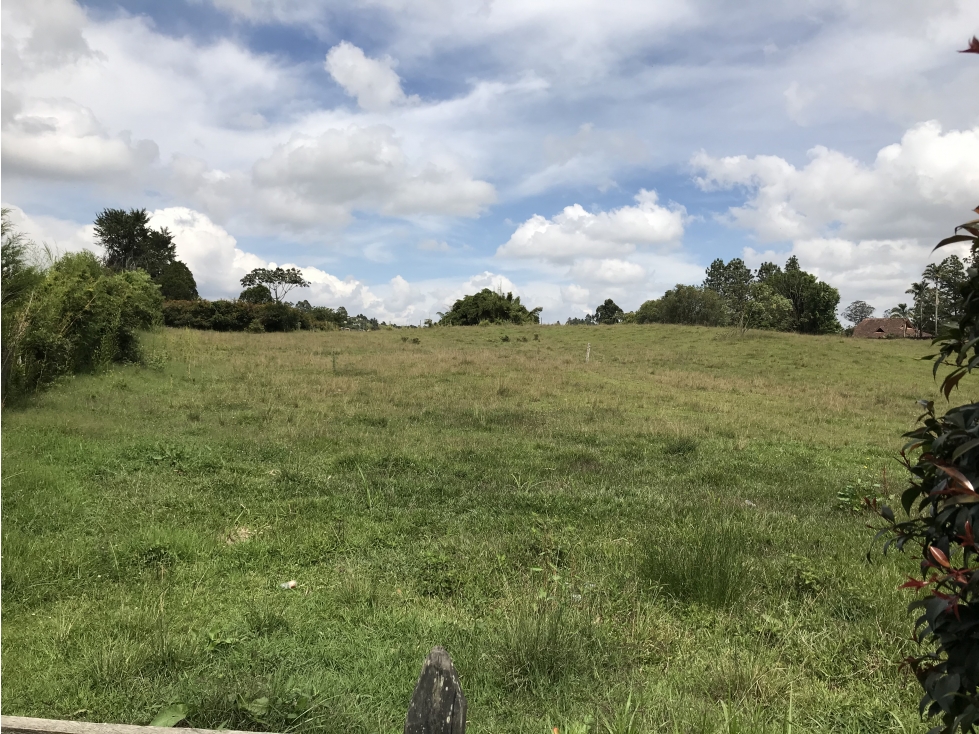 Venta de Lote En Rionegro