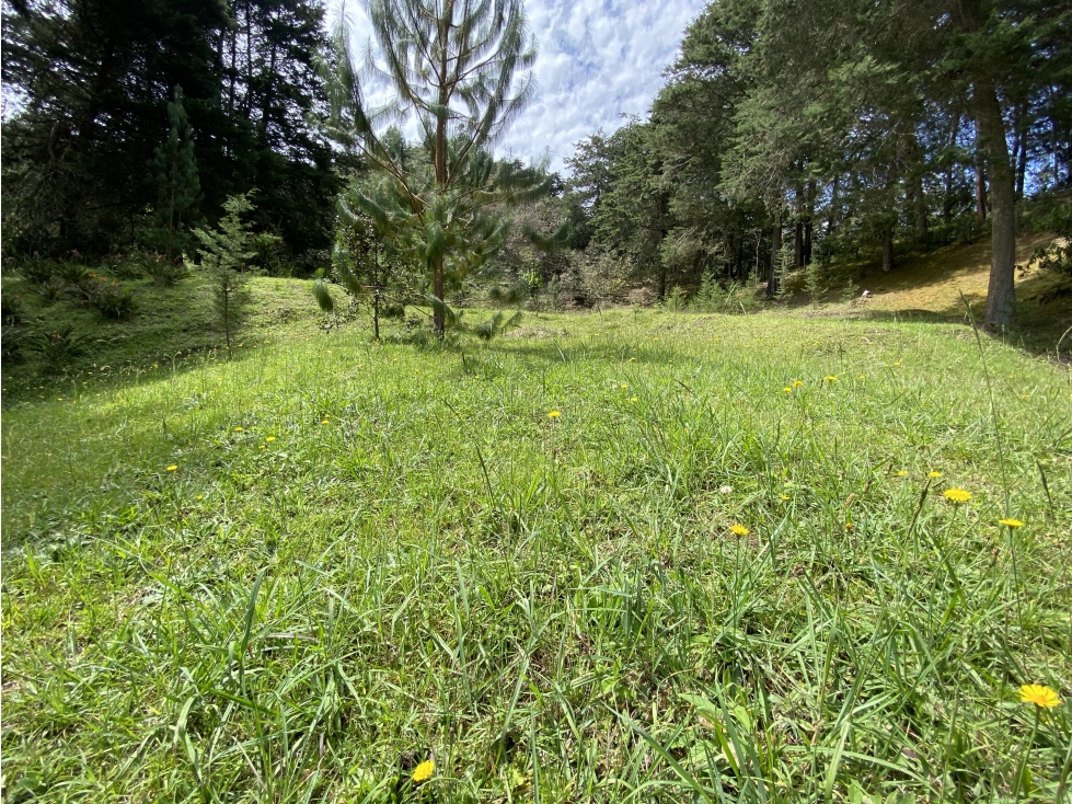 Venta Lote El Retiro