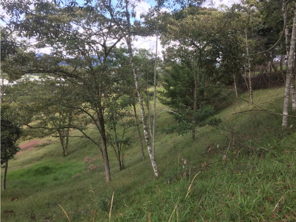 Venta de Lote en La Ceja