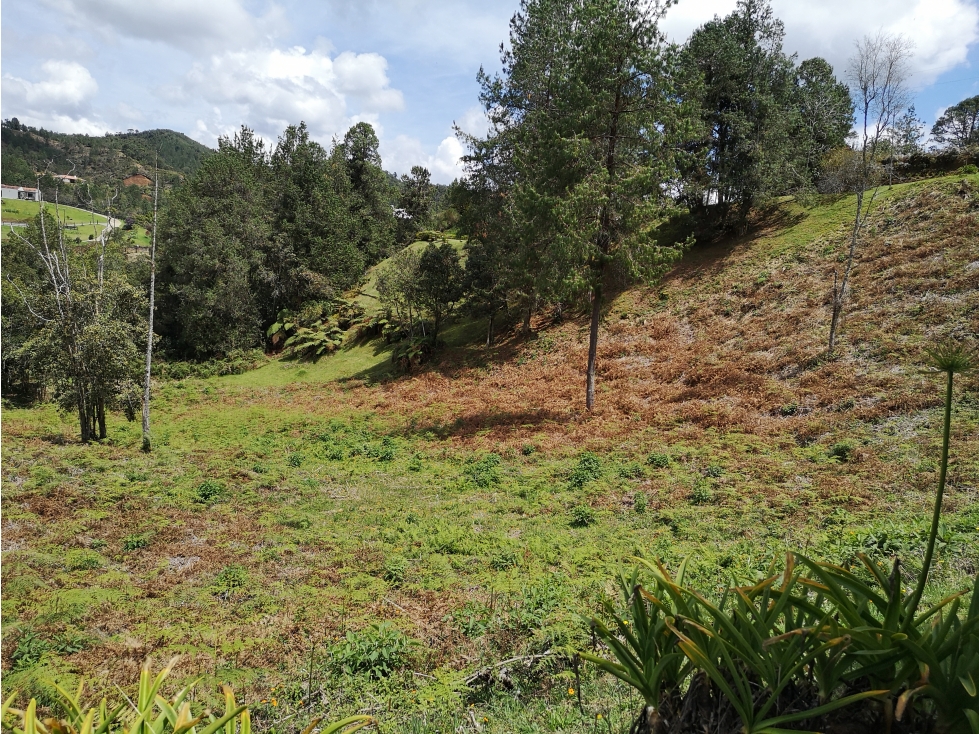 Venta de Lote en Envigado — foto 3