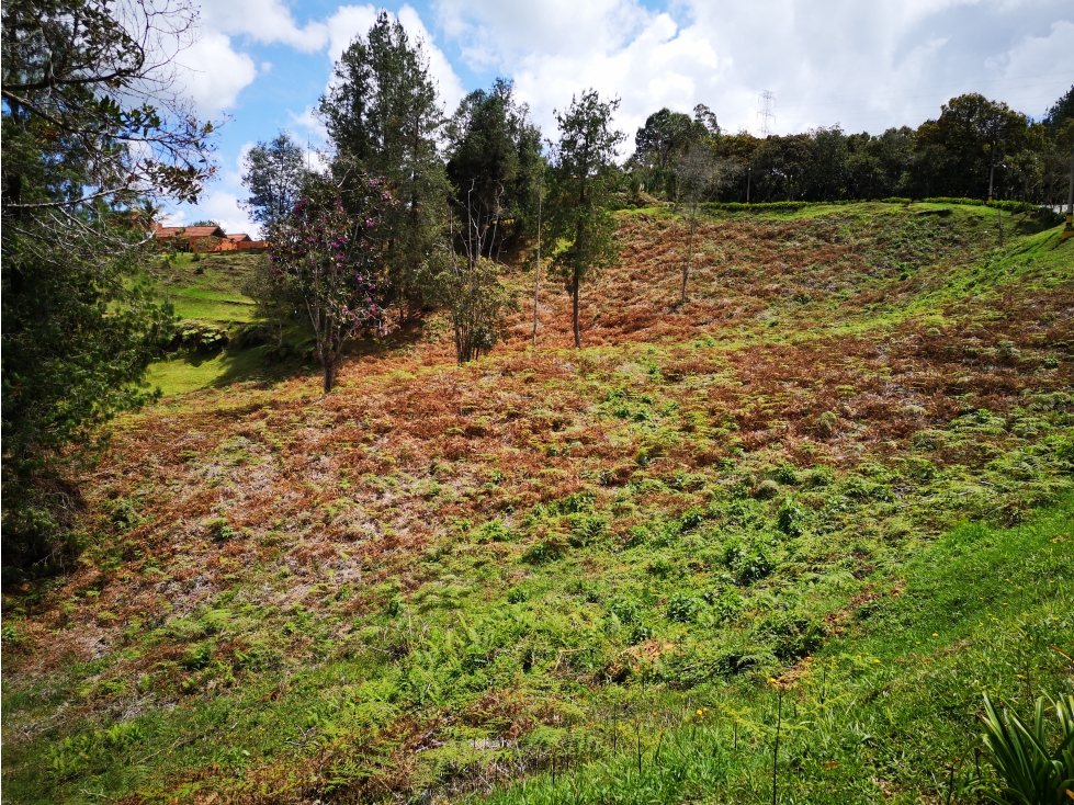 Venta de Lote en Envigado — foto 4