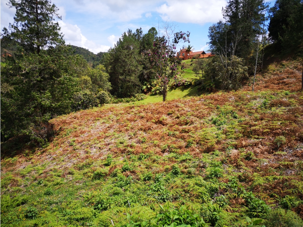 Venta de Lote en Envigado — foto 5