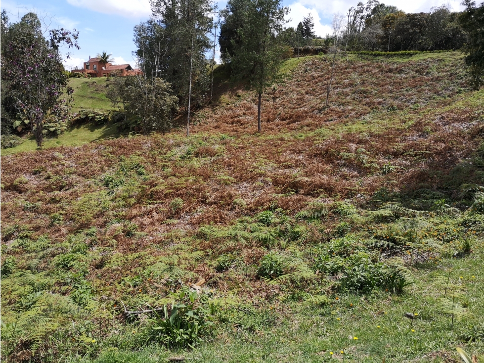 Venta de Lote en Envigado — foto 6