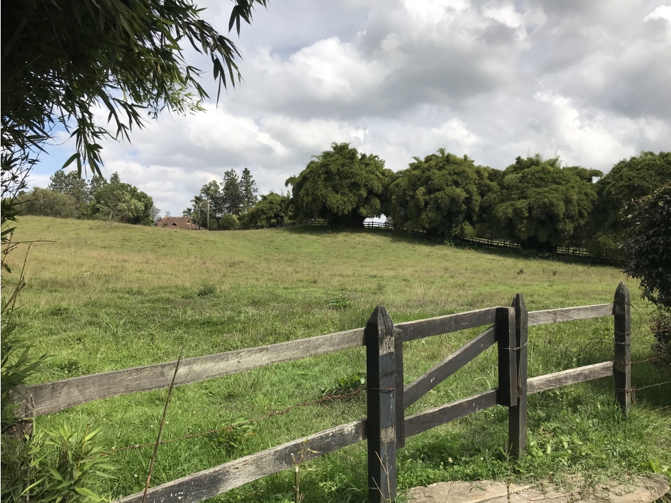 Venta de Lote En Rionegro — foto 3