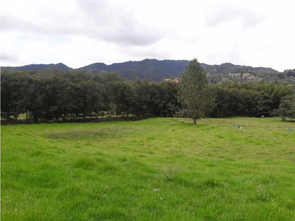 Venta de Lote en El Retiro - 3
