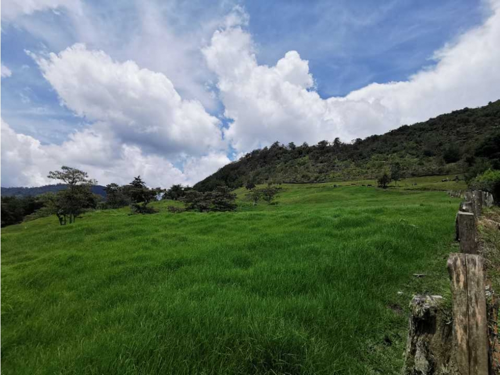 Venta de Lote en Rionegro