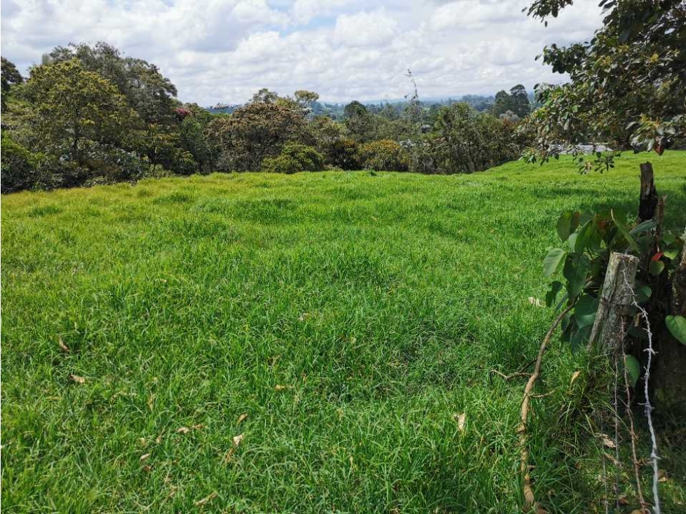 Venta de Lote en Rionegro