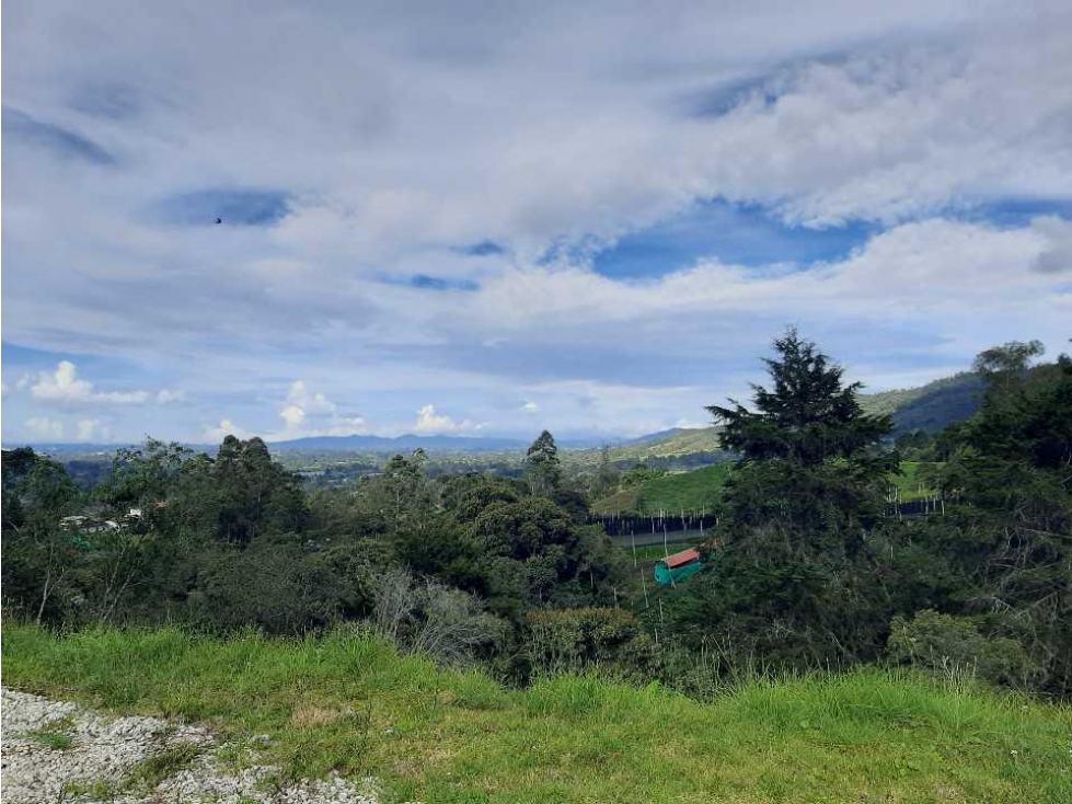 Venta de Lote en Rionegro