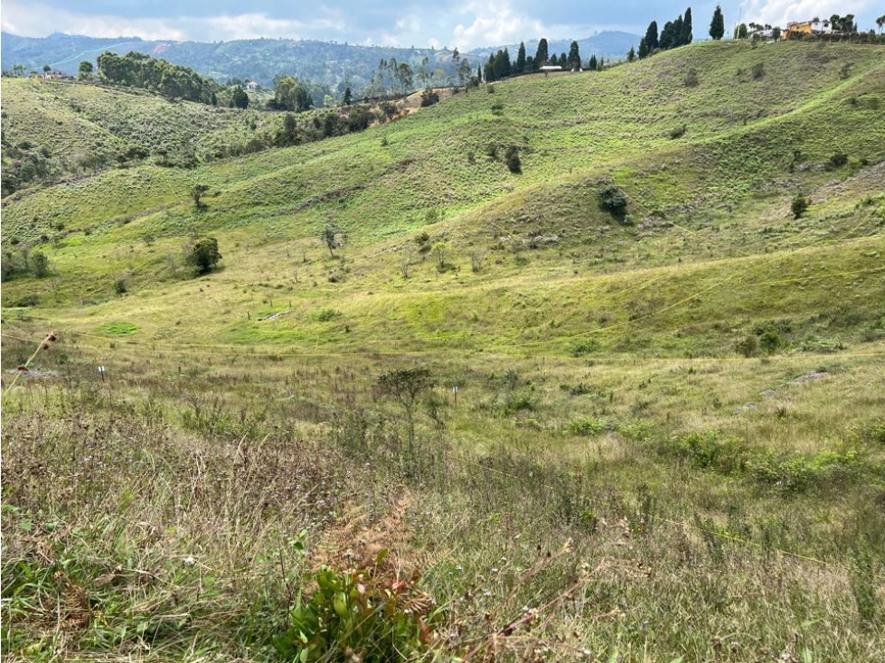 Venta de Lote en Guarne - 1