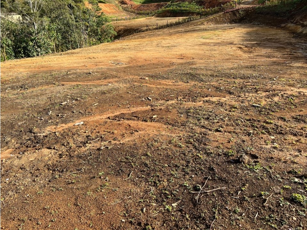 Venta Lote en Carmen de Viboral