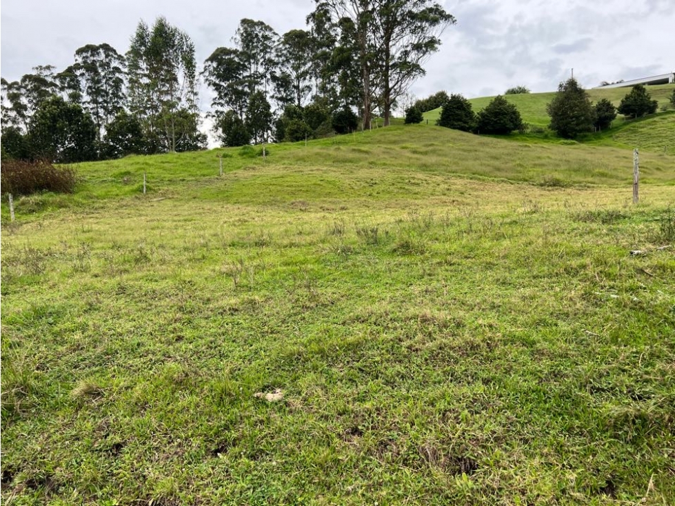 Venta de Lote en Pontezuela En Rionegro