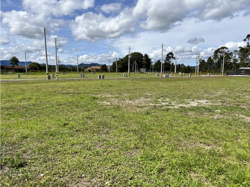 Venta de Lote para bodega Rionegro