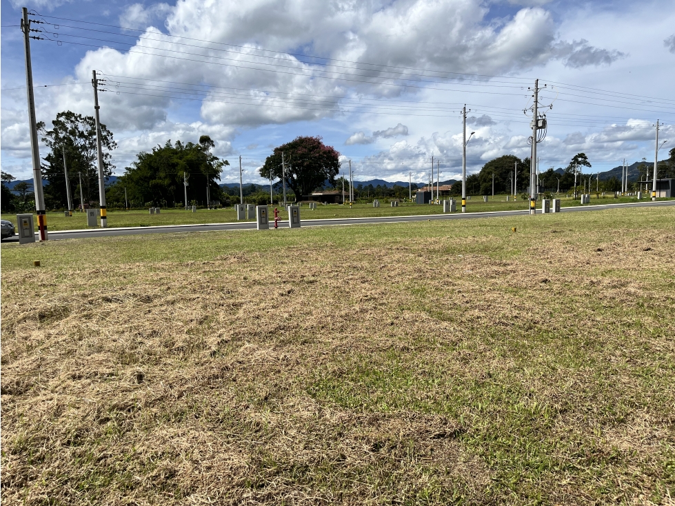 Venta de Lote para bodega Rionegro