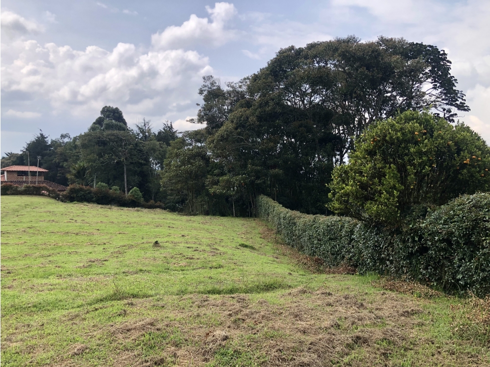 Venta de lote en el Carmen de Viboral
