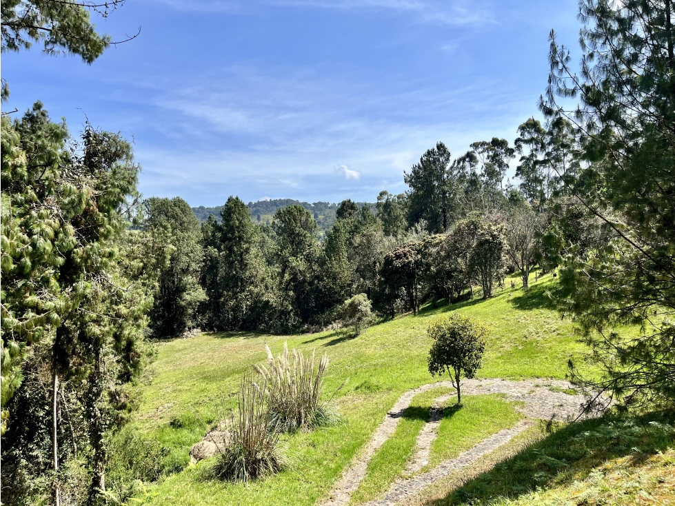 Venta de Lote en el Alto de las Palmas