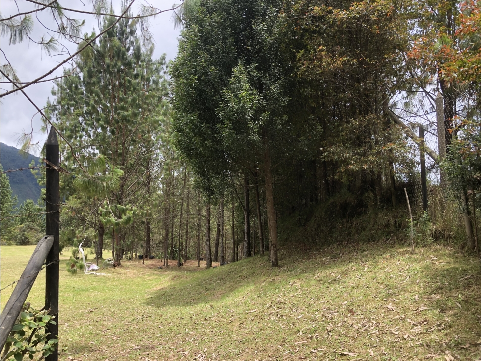 Venta de lote en Envigado