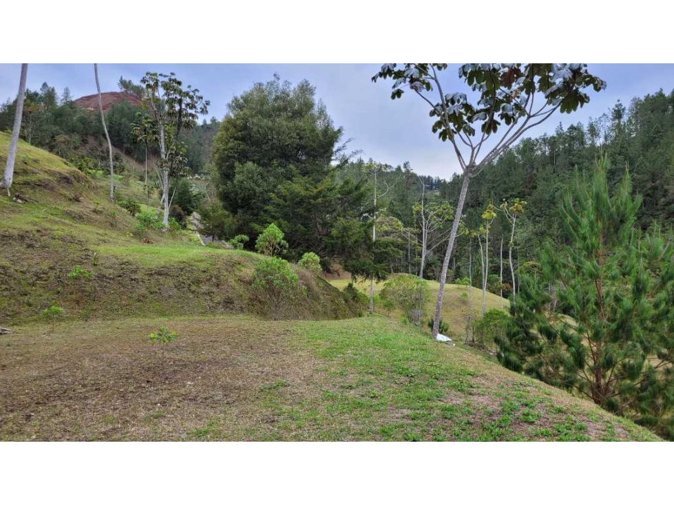 Venta de Lote En El Retiro
