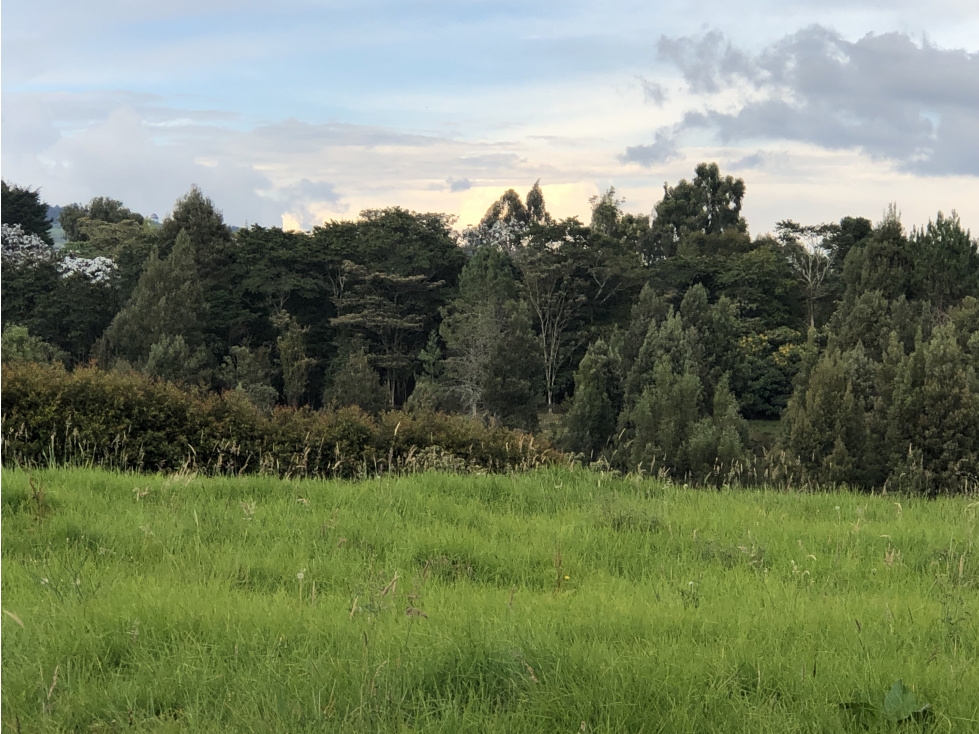 Venta de lote en el Alto de las Palmas