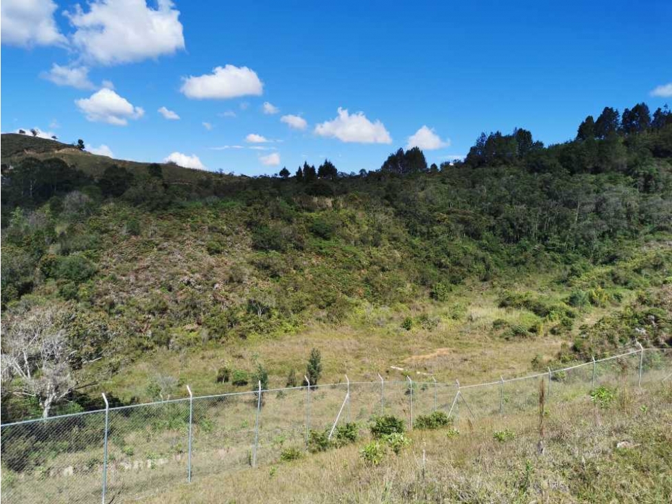 Venta Lote industrial para Bodega en Guarne — foto 3