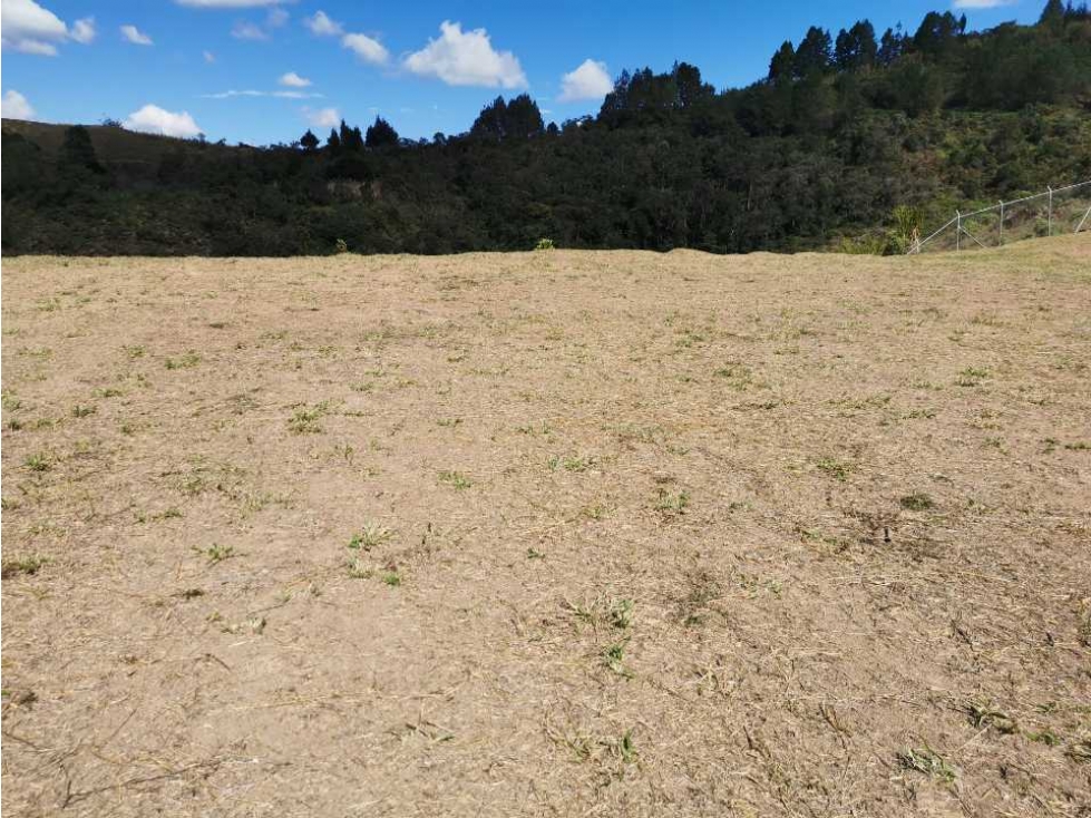 Venta Lote industrial para Bodega en Guarne — foto 4