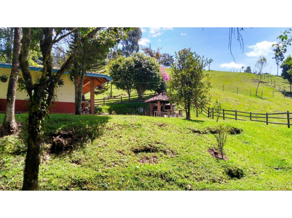 Venta de Finca la vereda Yarumal en Rionegro — foto 2