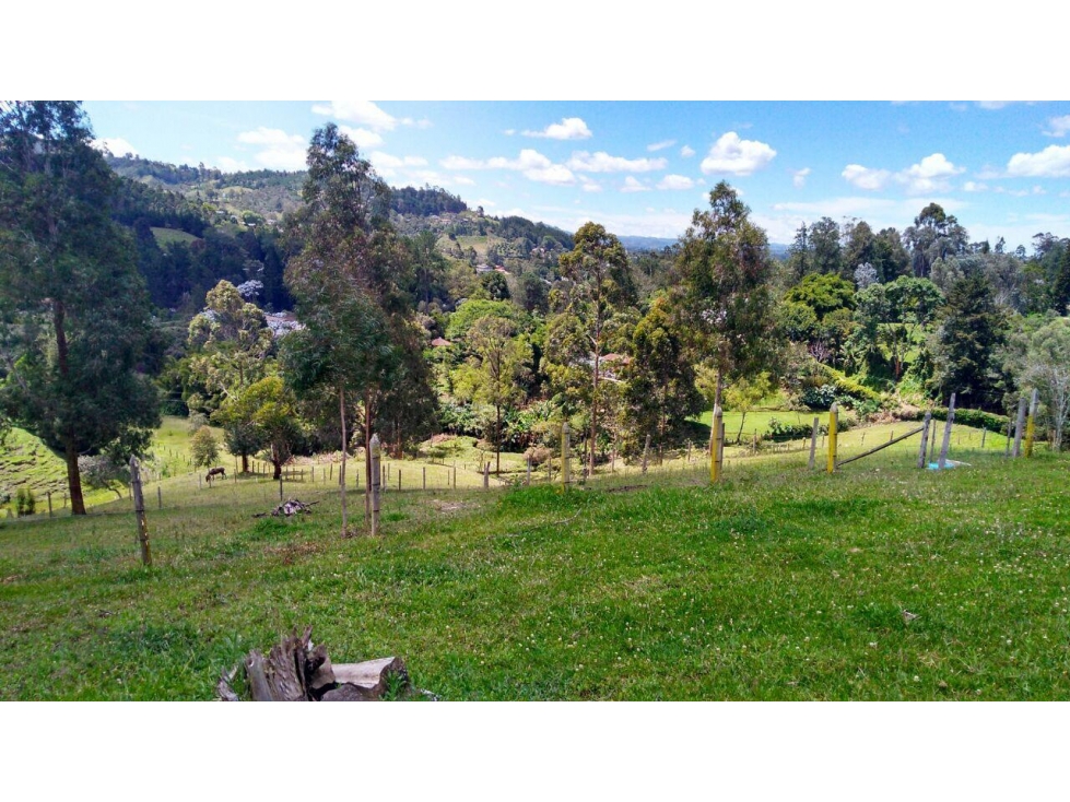 Venta de Finca la vereda Yarumal en Rionegro — foto 4
