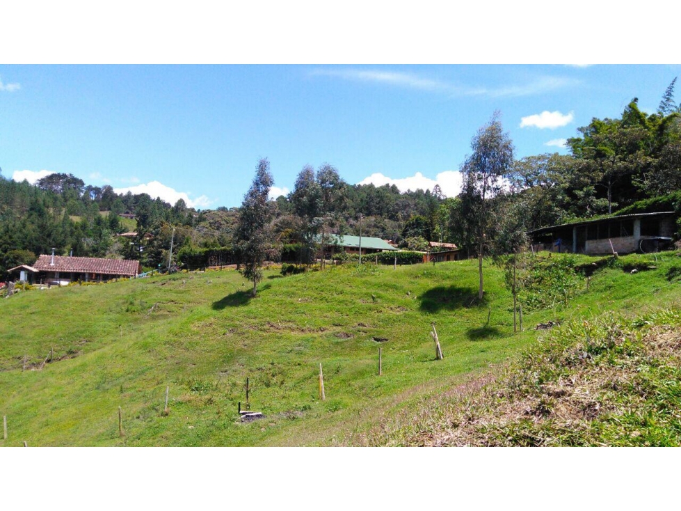Venta de Finca la vereda Yarumal en Rionegro — foto 5
