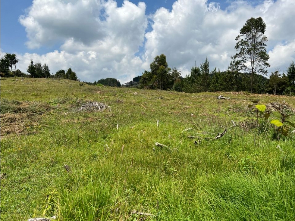 Venta de Lote en Guarne - 5