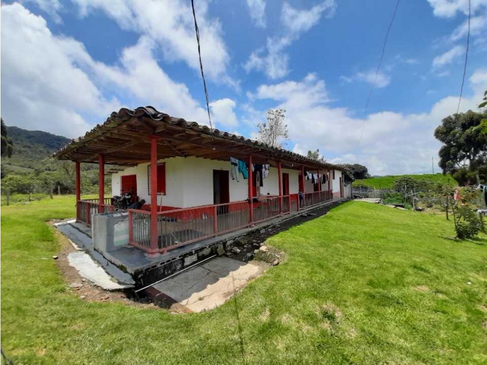 Venta de Finca en el Carmen de Viboral — foto 2