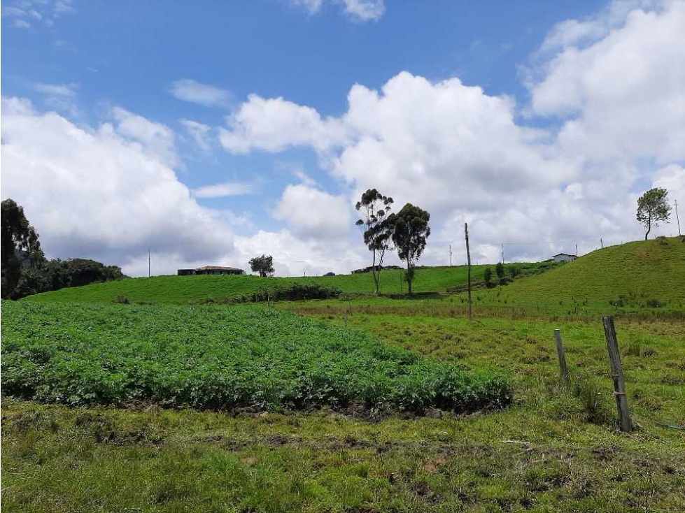 Venta de Finca en el Carmen de Viboral — foto 4