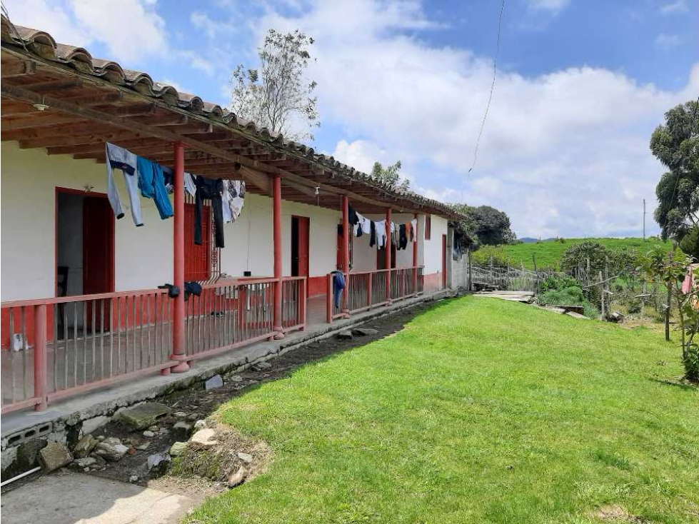 Venta de Finca en el Carmen de Viboral — foto 3