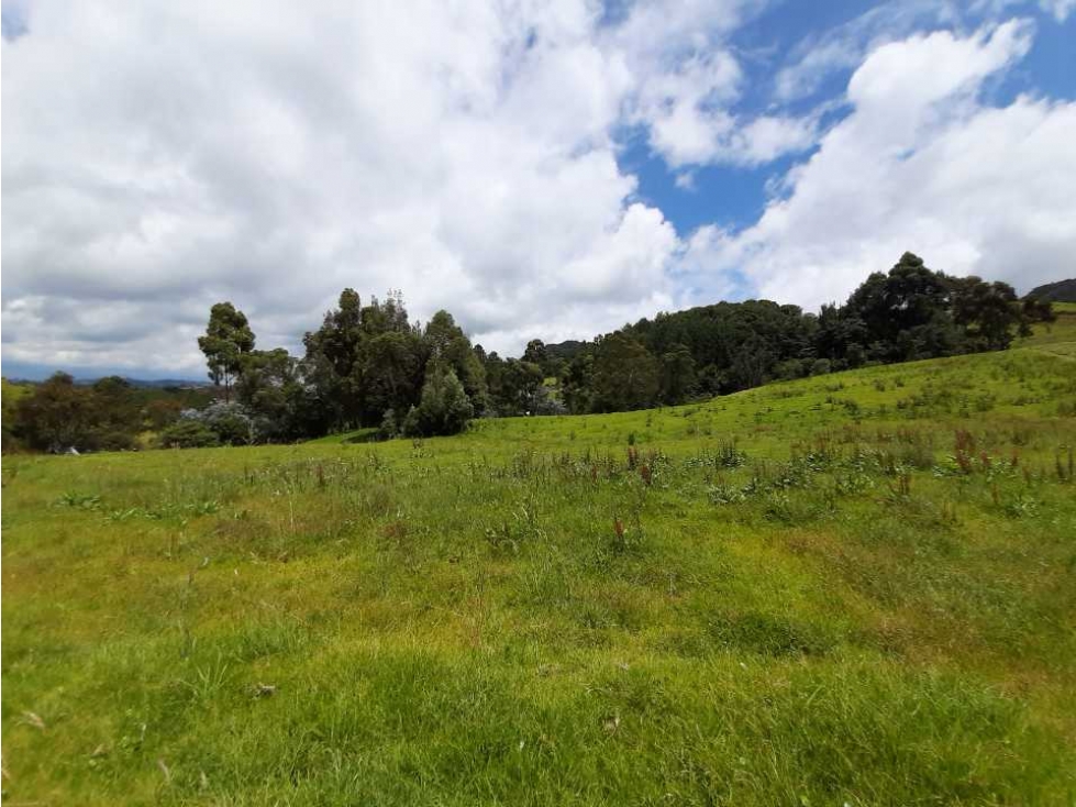 Venta de Finca en el Carmen de Viboral — foto 5