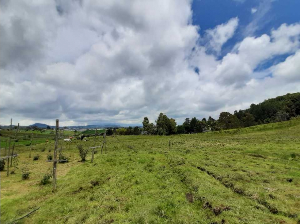 Venta de Finca en el Carmen de Viboral — foto 6