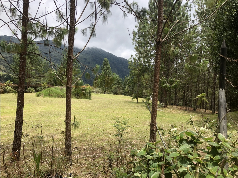 Venta de lote en Envigado — foto 4