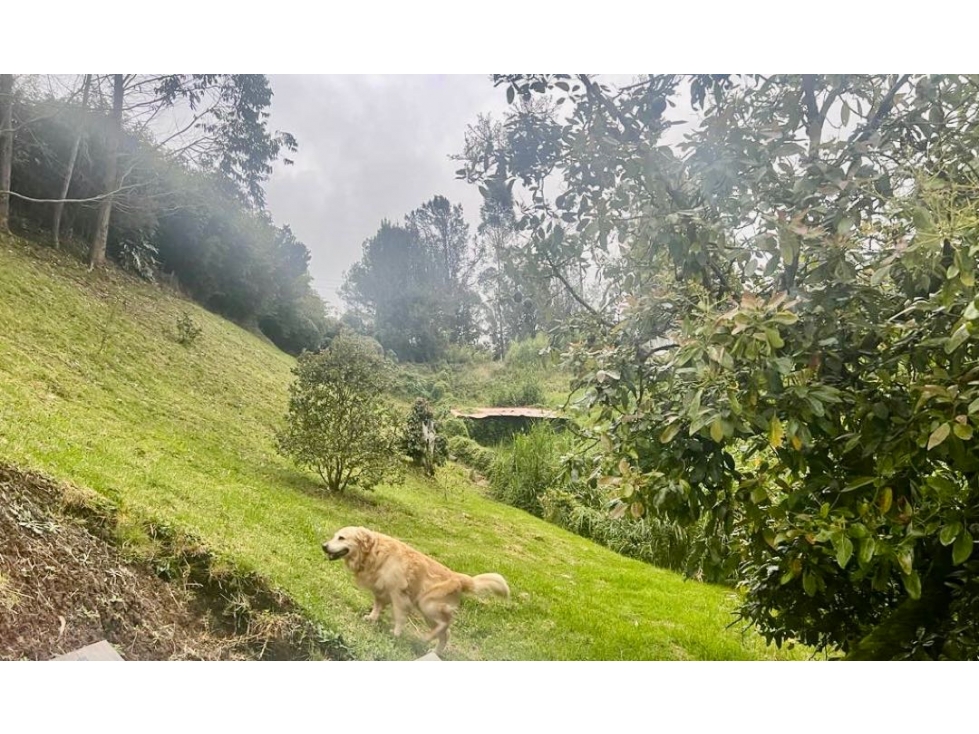 Venta de Casa Campestre en Envigado — foto 4