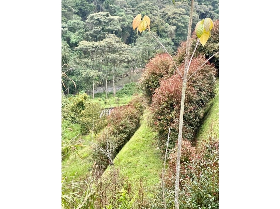Venta de Casa Campestre en Envigado — foto 5