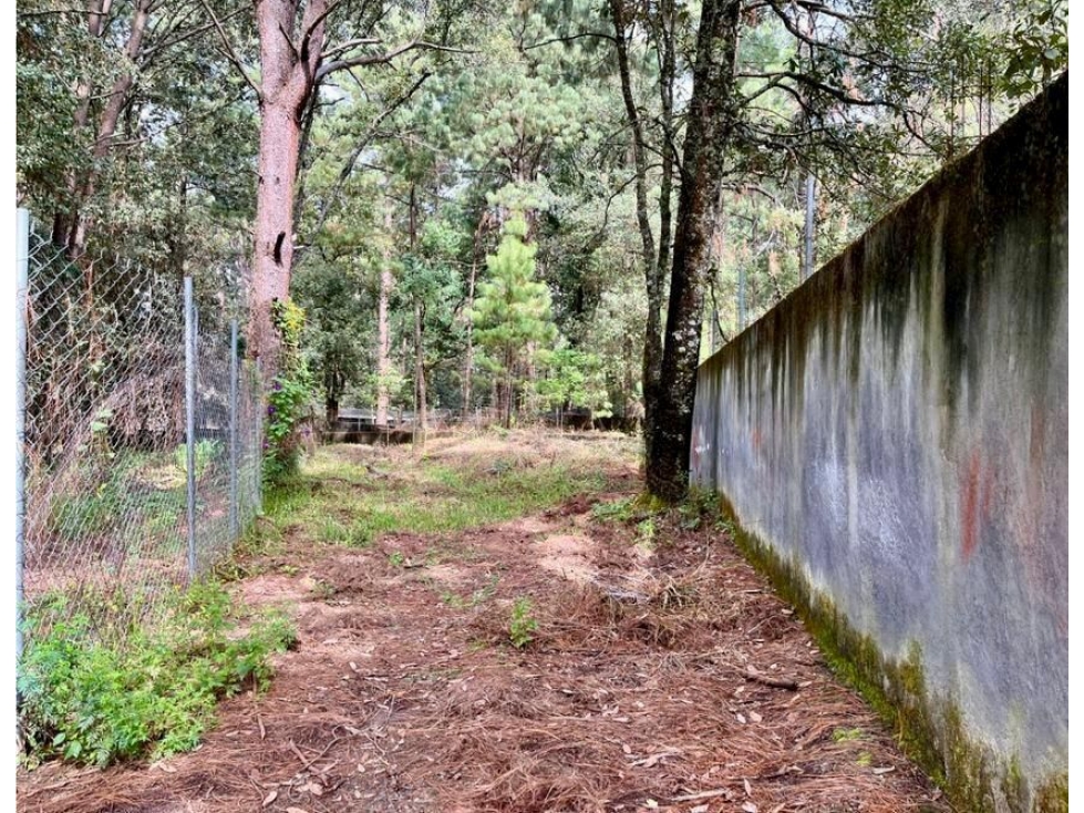 TERRENO EN VENTA | 519 M2 | CERCA DE AVANDARO | VALLE DE BRAVO — foto 6